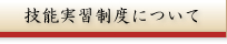 技能実習制度について